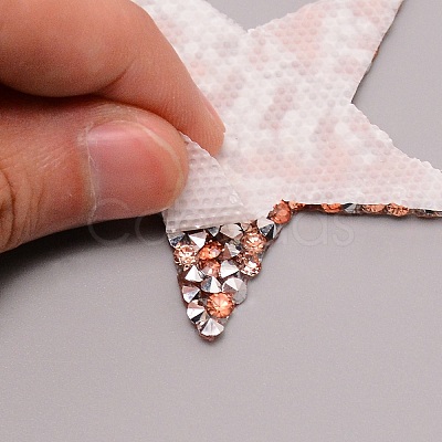 Glitter Hotfix Rhinestone(Hot Melt Adhesive On The Back) DIY-WH0001-48A-1