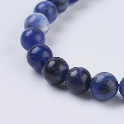 Natural Sodalite Beads Strands X-G-G515-6mm-07-1