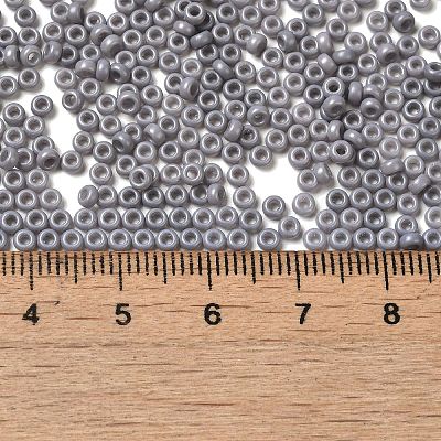 Baking Paint Glass Seed Beads SEED-P006-03A-27-1