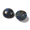 Natural Azurite Cabochons G-Q171-06A-02-2