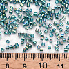 Glass Bugle Beads SEED-S032-09A-645-4