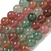 Natural Red and Green Strawberry Quartz Beads Strands G-B099-C03-06-1