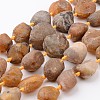 Raw Rough Natural Yellow Botswana Agate Beads Strands G-D833-08-1