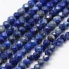 Natural Lapis Lazuli Beads Strands G-K185-01-1