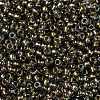 TOHO Round Seed Beads SEED-JPTR08-0999-2