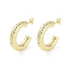 Rack Plating Brass Micro Pave Cubic Zirconia Studs Earrings EJEW-B047-06G-1