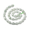 Natural Myanmar Jade/Burmese Jade Beads Strands G-C238-10-3