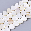 Natural Freshwater Shell Beads Strands X-SHEL-S276-70-2