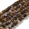 Natural Petrified Wood Beads Strands G-P497-01E-72-1