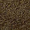 TOHO Round Seed Beads SEED-TR11-0389-2