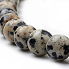 Natural Dalmatian Jasper Beads Strands G-S259-24-8mm-3