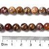 Natural Ocean Jasper Beads Strands G-H298-A13-03-5