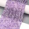 Natural Amethyst Beads Strands G-C127-A03-04-2