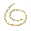 Natural Trochid Shell/Trochus Shell Beads Strands SHEL-F003-08C-2