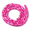 Natural Trochus Shell Beads Strands SHEL-S278-027E-2