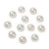 Shell Pearl Beads X-BSHE-N003-12mm-HC301-2