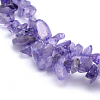 Natural Amethyst Beads Strands G-P332-06-2