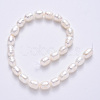 Natural Cultured Freshwater Pearl Beads Strands PEAR-N012-06D-3