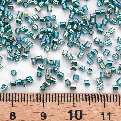 Glass Bugle Beads SEED-S032-09A-645-1