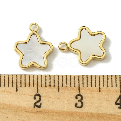 Ion Plating(IP) 304 Stainless Steel Pave Shell Star Charms FIND-Z028-26G-1