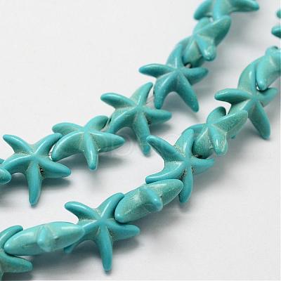 Synthetic Howlite Bead Strand G-P228-16-1