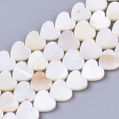 Natural Freshwater Shell Beads Strands X-SHEL-S276-70-1