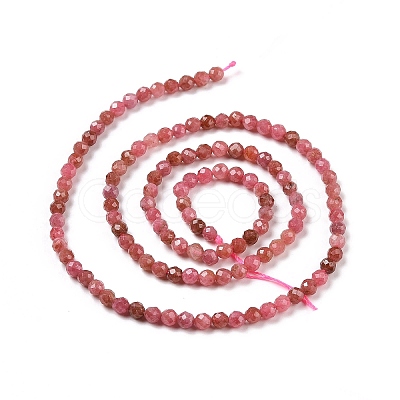 Natural Rhodonite Beads Strands G-C009-A18-1