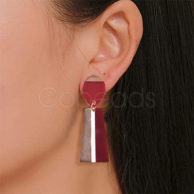 12 Pairs 6 Colors Resin & Walnut Wood Stud Earring Findings MAK-CJ0001-08-1