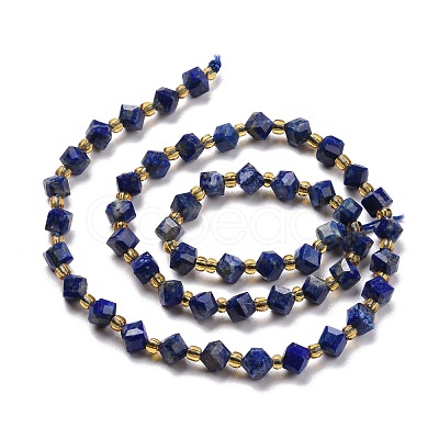 Natural Lapis Lazuli Beads Strands G-P463-25-1