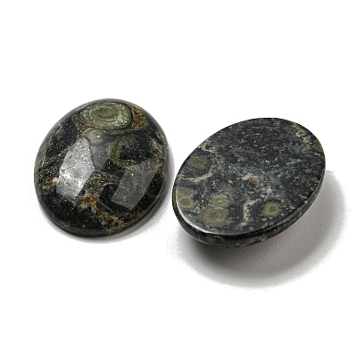 Natural Kambaba Jasper Cabochons G-C115-01B-22-1