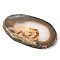 Printed Natural Agate Slice Stone Ornament, for Good Luck Home Office Decor, Lion, 115~125x110~130x7~8mm