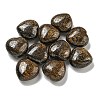 Natural Bronzite Beads G-P531-A23-01-1