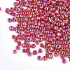 Opaque Glass Seed Beads SEED-S023-01B-05-2