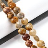 Natural Crazy Agate Beads Strands G-T047-A02-03-2