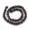 Natural Black Petrified Wood Beads Strands G-F464-06-2