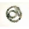 Natural Tree Agate Round Gemstone Beads Strands G-R255-8mm-2
