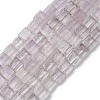 Natural Amethyst Beads Strands G-C110-A01-01-1