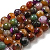 Faceted Natural Banded Agate Beads Strands G-F447-12mm-O06-1