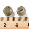Natural Labradorite Beads G-C134-03T-3