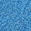 11/0 Grade A Transparent Glass Seed Beads X-SEED-N001-F-256-2