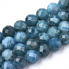 Natural Apatite Beads Strands X-G-S345-4mm-008-1