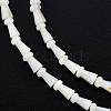 Natural Freshwater Shell Beads Strands SHEL-G013-02D-3