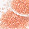 6/0 Round Glass Seed Beads X-SEED-J011-F6-L176-1