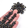 6/0 Glass Seed Beads SDB4mm602-3