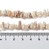 Natural Shell Beads Strands G-F328-45-4