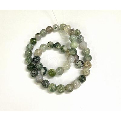 Natural Tree Agate Round Gemstone Beads Strands G-R255-8mm-1