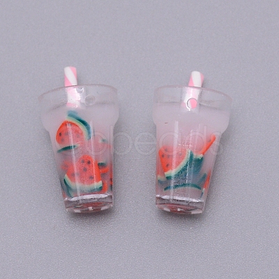 Plastic Resin Pendants KY-TAC0008-01E-1