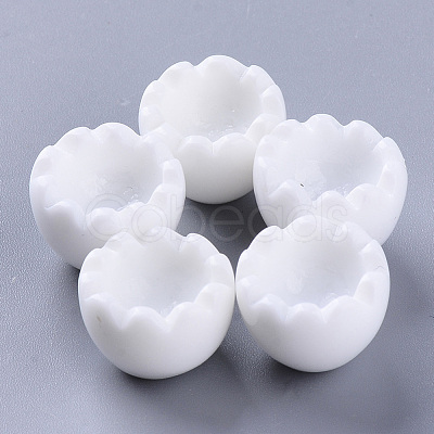 Resin Beads CRES-N021-15-1