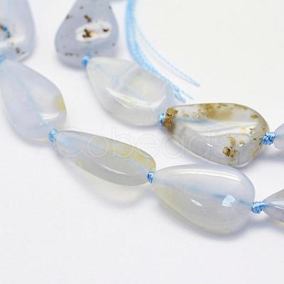 Natural Blue Lace Agate Beads Strands G-K202-13A-1