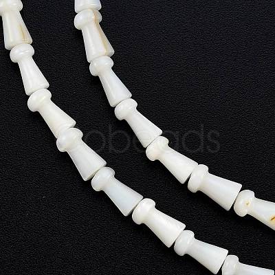 Natural Freshwater Shell Beads Strands SHEL-G013-02D-1